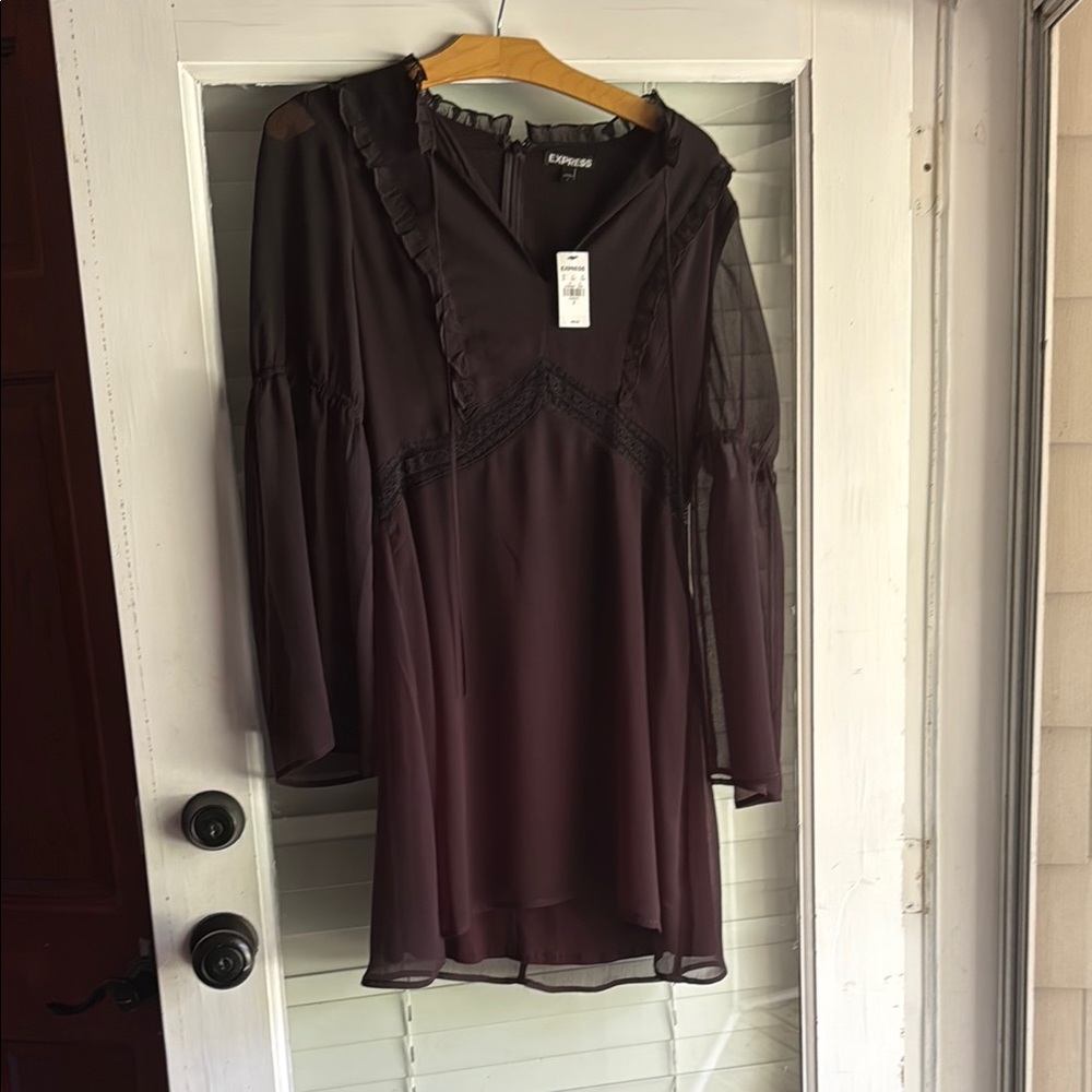 Express Sheer Dark Dress with Ruffles